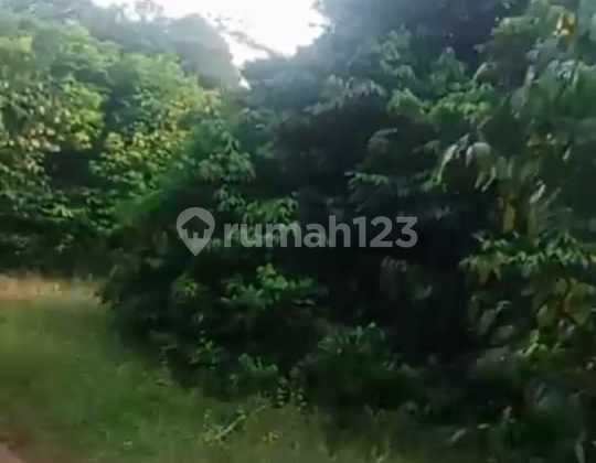 Subang Kawasan Industri :Kawasan Rebana 110HA- Dekat  PT Vinfast 