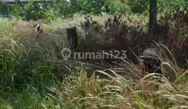 Cileles Kawasan Industri [Tanah]: Area Tigaraksa- Dekat Pabrik Lg