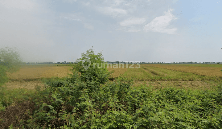 Bekasi [Tanah] : Dijual Jl. Sukatenang 22 HA- Cocok utk perumahan 2