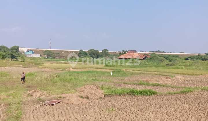 Cikarang [Tanah]: Kontur Tanah Sawah Padat 50-100 Ha