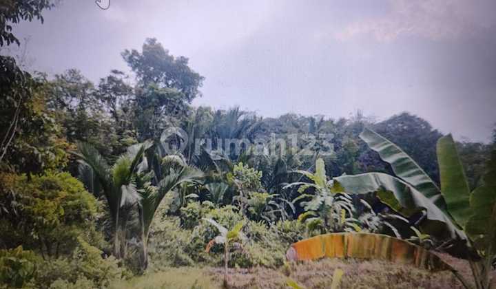 Leuwisadeng Bogor [Tanah]: Dijual Luas 1-20Ha-Cocok utk perumahan