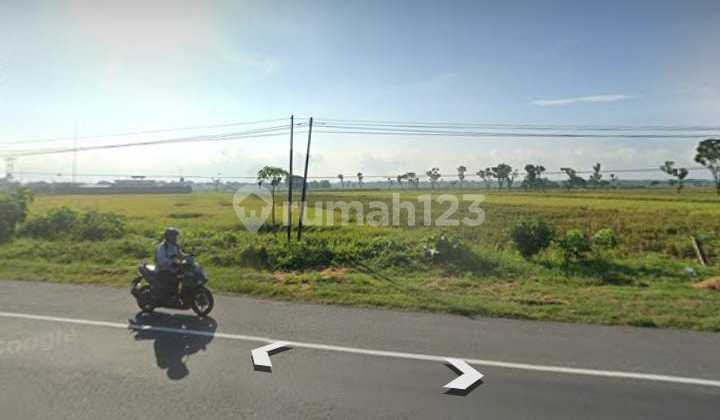Sambungmacan - Sragen [LAND]: Smallest MSME - 25ha - Only 1.2KM to Toll Road