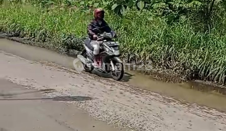 Cileles- Tigaraksa[ Tanah]: Dekat Lg dan Akses Tol Serbaraja