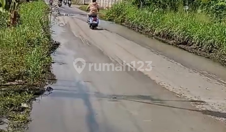 Tigaraksa- Cileles[Tanah] Kawasan Industri-Luas 11 Ha-Bu