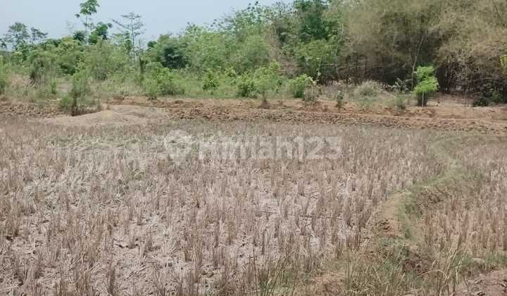 Subang - Kedawung Toll Exit - Industrial Zone