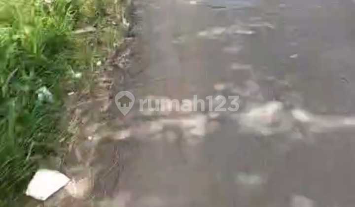 Cigudeg [LAND]: For Sale - Cigudeg Subdistrict - 300m to Provincial Road