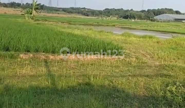 Kerawang [Tanah]:Shm-Dekat Halte Whoosh-12 Ha