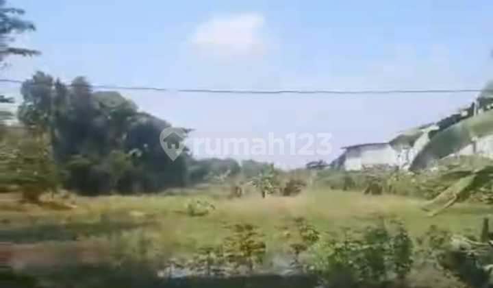 Jl.raya Pantura-Kec Jayanti [Land]: Strategy-Near Mayora-1Ha