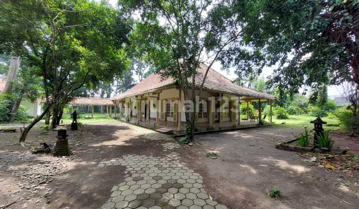 Land with SHM for Quick Sale Inside Ringroad in Pogung North Ringroad