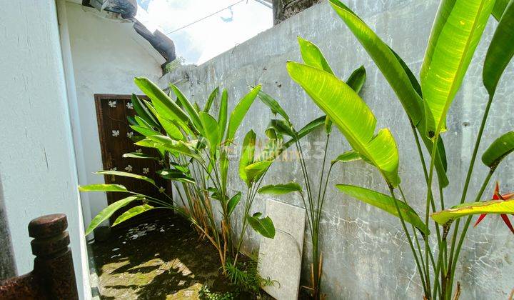 Rumah Luas Dengan Kolam Renang Dekat Stadion Maguwoharjo 2