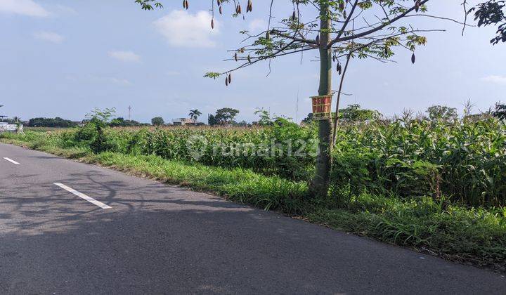 Tanah Murah Nilai Invetasi Tinggi Di Prambanan 2