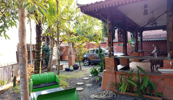 Homestay Land Wide House for Sale Cheap in Moyudan Sleman 2