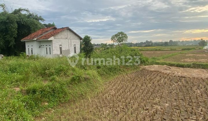 Tanah Padat Sawah di Legok Tangerang Lokasi Strategis