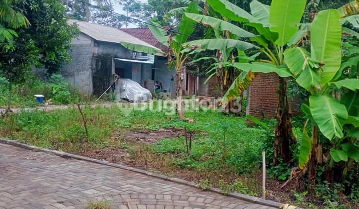 YUK INVESTASI TANAH DI JATIBARANG SEMARANG 1