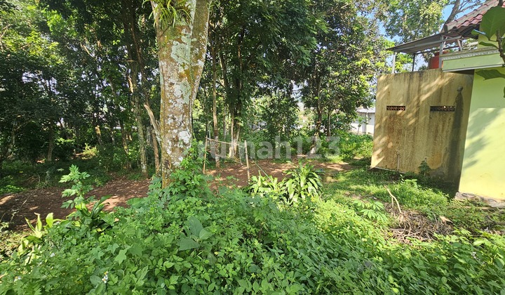 Tanah Investasi, Datar, Siap Bangun Di Kalongan Ungaran Timur 2