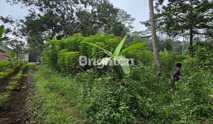 TANAH MURAH SIAP DIBANGUN BELAKANG  RS CEPOKO GUNUNG PATI 1