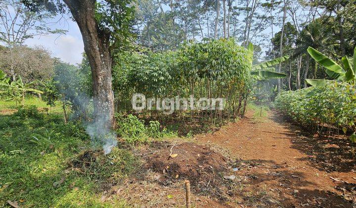 TANAH MURAH SIAP DIBANGUN BELAKANG  RS CEPOKO GUNUNG PATI 2