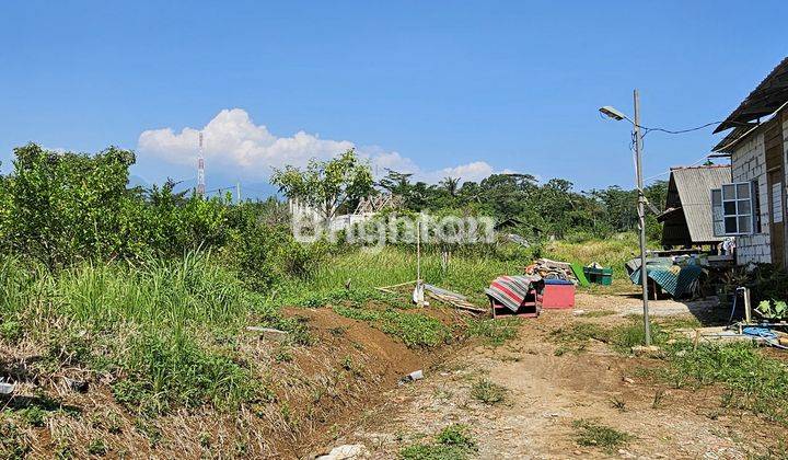 TANAH PERKARANGAN UNTUK INVESTASI DI GUNUNG PATI 1