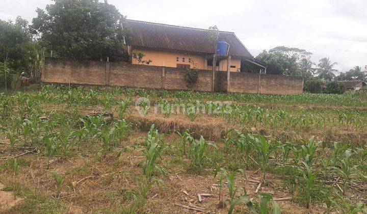 Tanah Perkarangan Murah,siap Bangun , Bonus Rumah Di Lampung 2