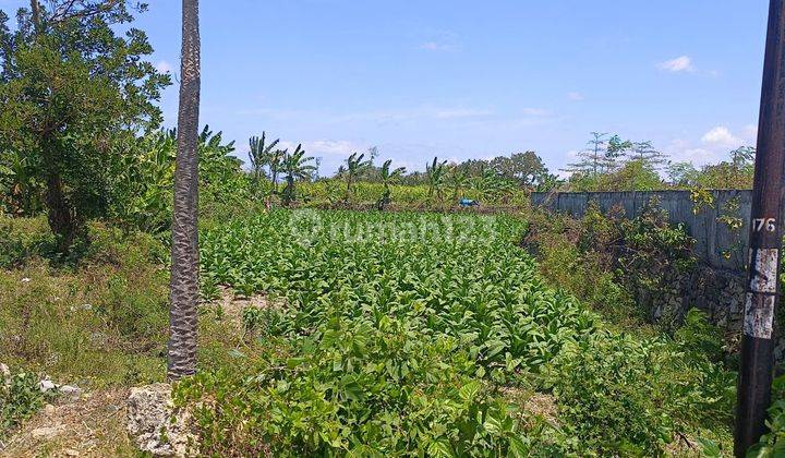 TANAH STRATEGIS DI DESA PUJUT, TANAK AWU LOMBOK DEKAT BANDARA 1