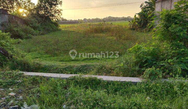 TANAH INVESTASI SIAP BANGUN TEPI JALAN PURWODADI - SOLO 1