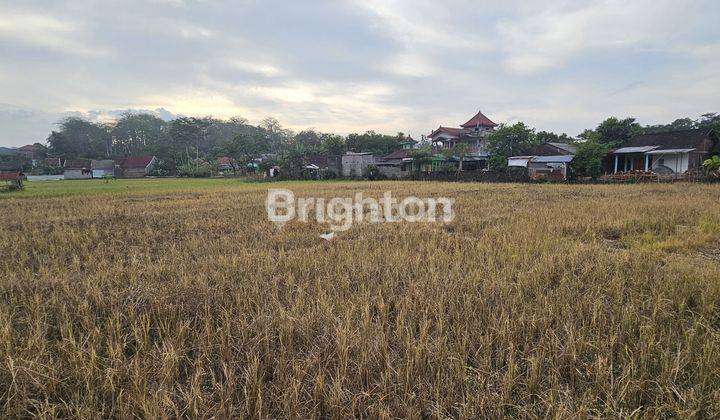 TANAH STRATEGIS UNTUK INVESTASI DI DESA KAJANGAN - KALONGAN 1