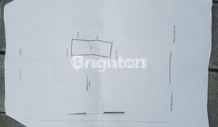 TANAH  SIAP BANGUN ZONA KUNING DI JALUR UTAMA GUNUNG PATI 2