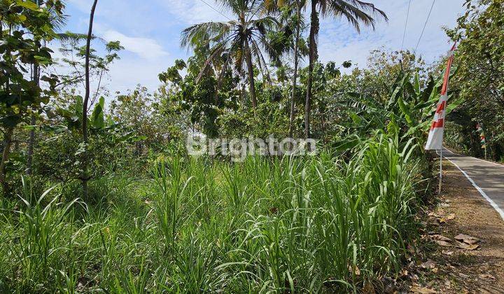 TANAH UNTUK INVESTASI DIBANGUN  RUMAH DI TUNTANG SEMARANG 1