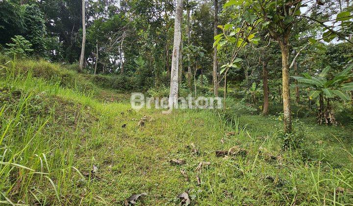 Tanah Strategis Tepi Jalan, Siap Pakai Di Sumur Rejo, Gunung Pati 1