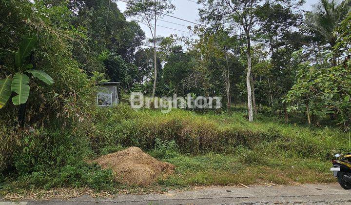 Tanah Strategis Tepi Jalan, Siap Pakai Di Sumur Rejo, Gunung Pati 2