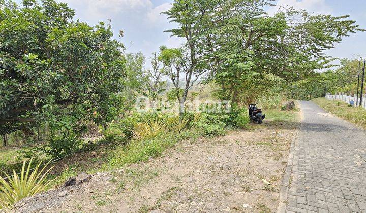 Tanah Di Bawah Harga Njop, 500 Meter Ke Fak.ekonomi Undip 2