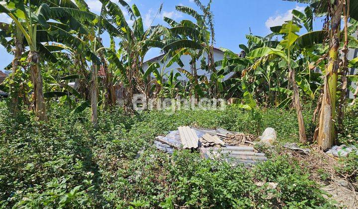 Tanah Hook, Siap Bangun Di Candi Penataran Semarang Barat 2