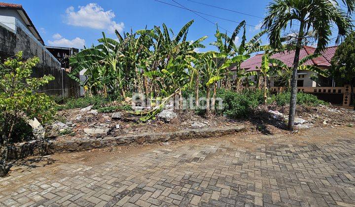 Tanah Hook, Siap Bangun Di Candi Penataran Semarang Barat 1