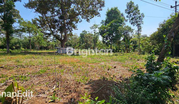 TANAH STRATEGIS, DATAR, TEPI JALAN SIAP BANGUN DI GUNUNG PATI 2