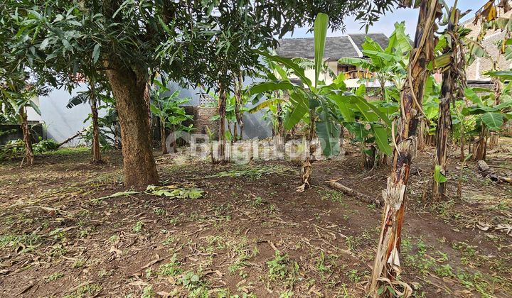 TANAH SIAP BANGUN UNTUK INVESTASI DI LOKASI KOS2 AN DEKAT UNDIP TEMBALANG 2