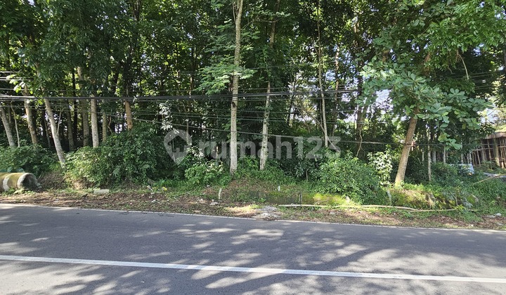 TANAH  SIAP BANGUN ZONA KUNING DI JALUR UTAMA GUNUNG PATI 1