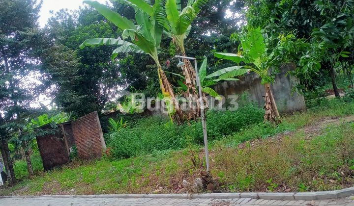 YUK INVESTASI TANAH DI JATIBARANG SEMARANG 2