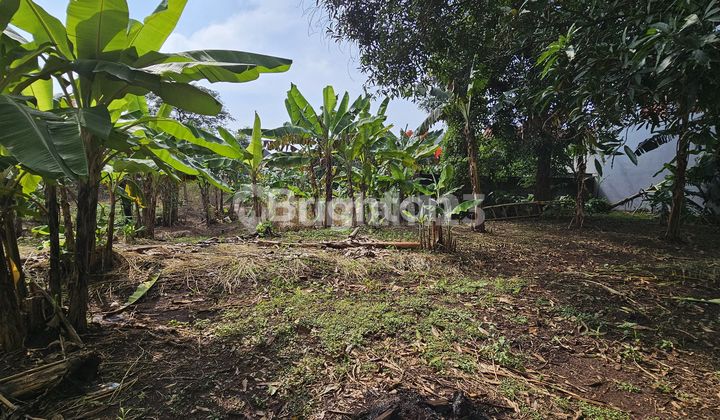 TANAH SIAP BANGUN UNTUK INVESTASI DI LOKASI KOS2 AN DEKAT UNDIP TEMBALANG 1