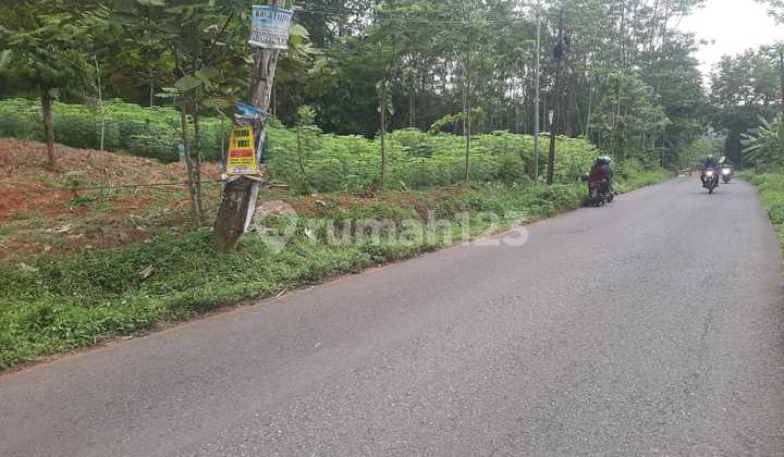 For Rent 1,193 m² Land in Beji Kalongan, East Ungaran 2