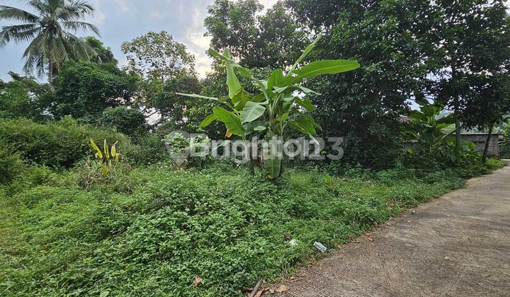 TANAH INVESTASI N STRATEGIS SIAP BANGUN DI UNGARAN TIMUR DEKAT POLYMARIN 2