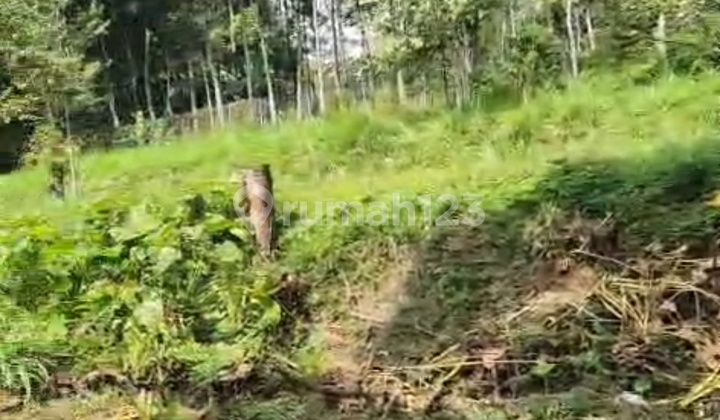 Land Area 5500, Strategically Located on the Main Roadside in Salatiga