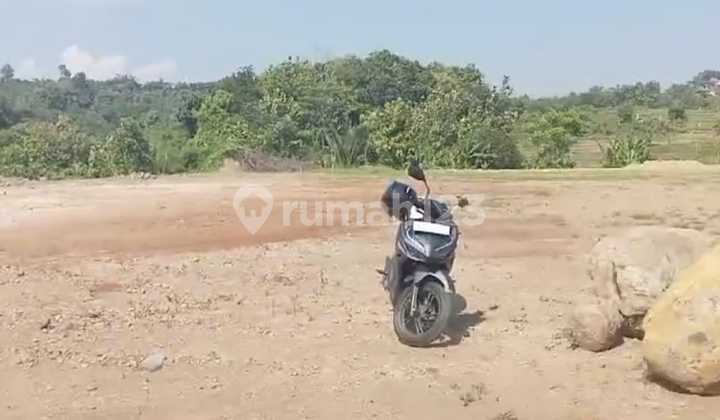 Dijual Tanah Luas 2,4 Hektar di Gondoriyo Ngaliyan – Lokasi Strategis Cocok untuk Developer & Investasi 1