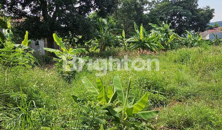 TANAH INVESTASI TINGGI, SIAP BANGUN DI  SRONDOL DEKAT PINTU TOL BANYUMANIK 2