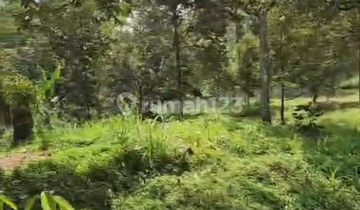 Land Area 5500, Strategically Located on the Main Roadside in Salatiga