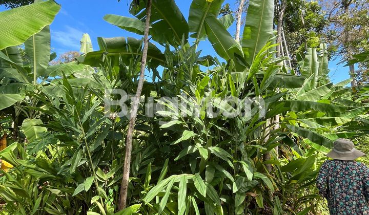 TANAH INVESTASI, SIAP BANGUN DI MIJEN DEKAT UP TOWN MALL BSB CITY 2