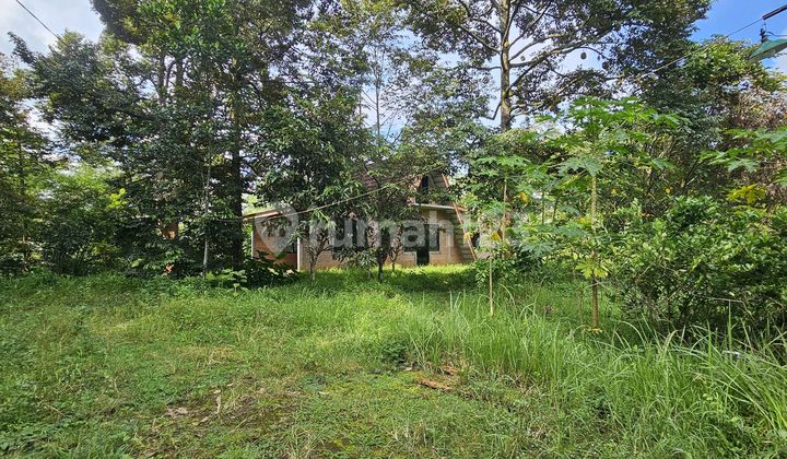 Tanah SHM 8347M², Asri dengan Pohon Durian, Gunung Pati 1