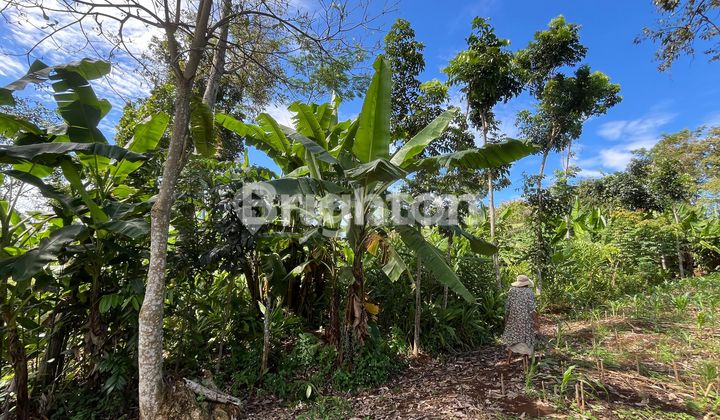 TANAH INVESTASI, SIAP BANGUN DI MIJEN DEKAT UP TOWN MALL BSB CITY 1