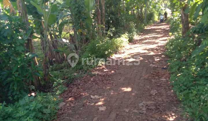 TANAH UNTUK BANGUN PERUMAHAN DI GUNUNG PATI  2