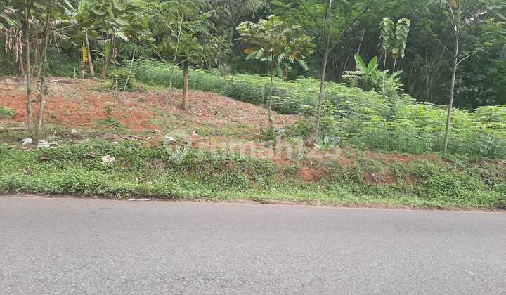 For Rent 1,193 m² Land in Beji Kalongan, East Ungaran 1