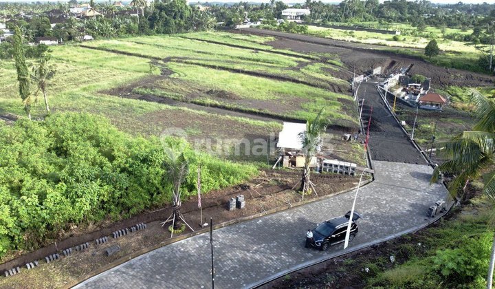 Tanah Kavling Ekslusive Harga Ekonomis View Sawah, Gubug Tabanan Tanah Kavling Ekslusive Harga Ekonomis View Sawah, Gubug Tabanan